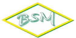 BSM
